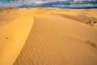 USA, California, Imperial Sand Dunes Recreation Area. Sand dune ripples. Art Print